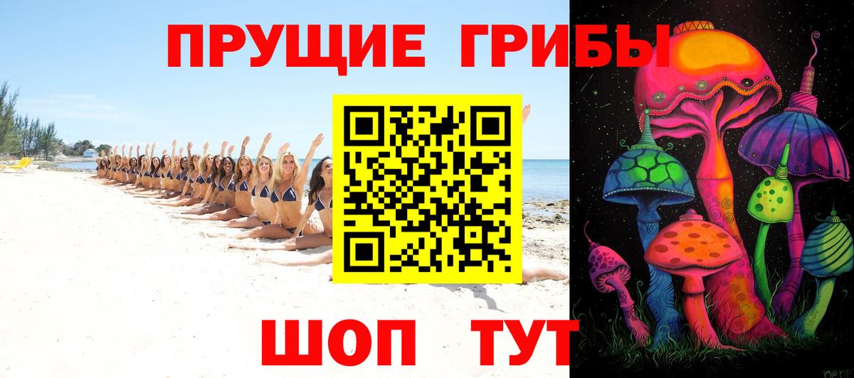 Псилоцибиновые грибы Cubensis  Вход с VPN  как найти закладки  Димитровград 